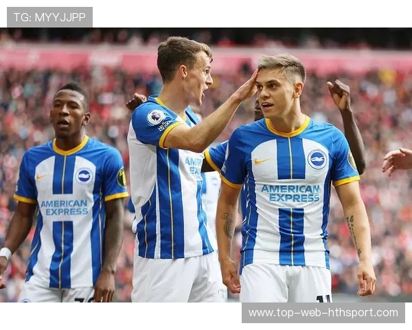 布莱顿前插选择多样